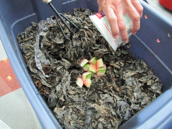Figure 7. Add a small amount of food scraps on the surface